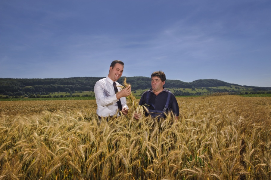 Mit Emil Feucht, Landwirtschaftsmeister in Lauchringen bei der Begutachtung seiner Ernte.