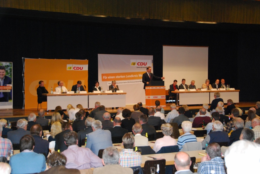 CDU-Kreisparteitag 2014 in Waldshut: Rede als Kreisvorsitzender