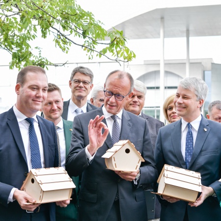 Größeres Bild ansehen